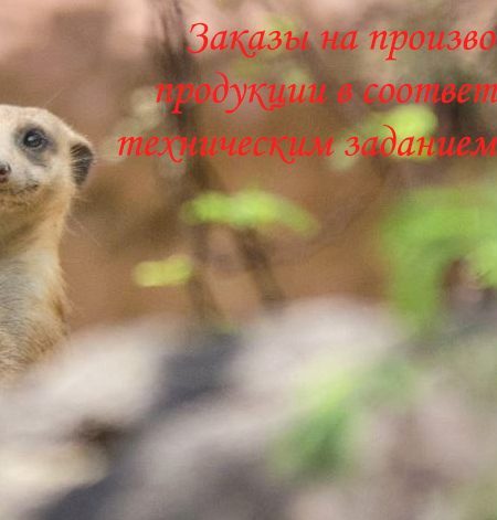 Предварительный заказ на изготовление