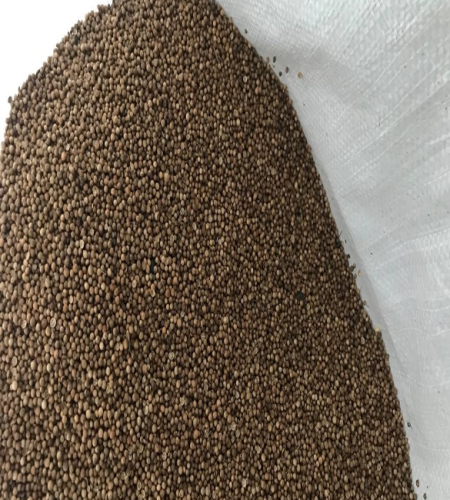 Кориандр зерно